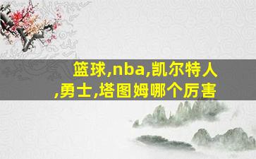 篮球,nba,凯尔特人,勇士,塔图姆哪个厉害