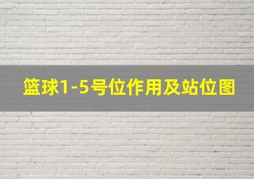 篮球1-5号位作用及站位图