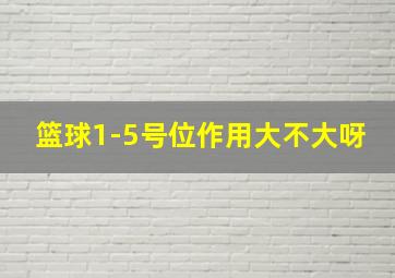 篮球1-5号位作用大不大呀