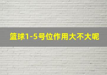 篮球1-5号位作用大不大呢