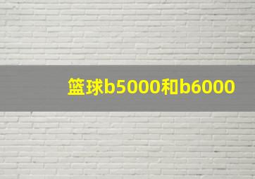 篮球b5000和b6000