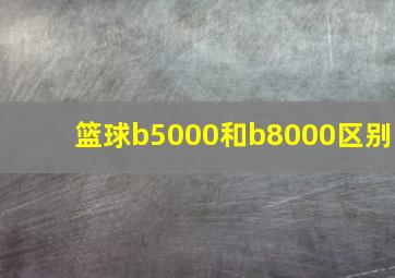 篮球b5000和b8000区别