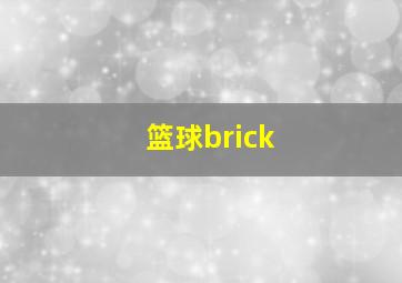 篮球brick