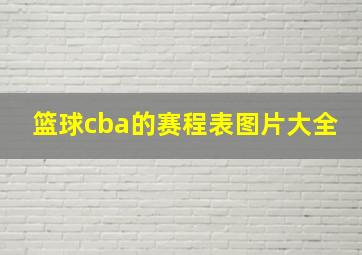 篮球cba的赛程表图片大全