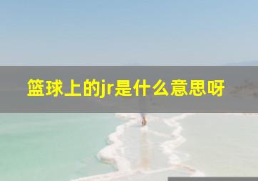 篮球上的jr是什么意思呀