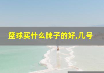 篮球买什么牌子的好,几号