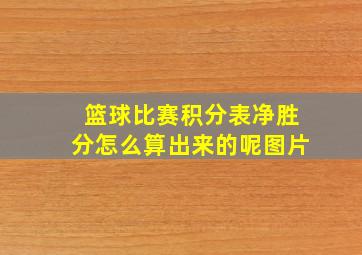 篮球比赛积分表净胜分怎么算出来的呢图片