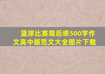 篮球比赛观后感500字作文高中版范文大全图片下载