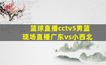 篮球直播cctv5男篮现场直播广东vs小西北