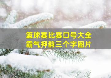 篮球赛比赛口号大全霸气押韵三个字图片