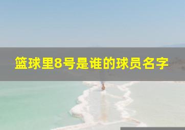 篮球里8号是谁的球员名字