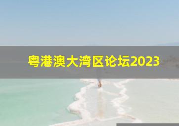 粤港澳大湾区论坛2023