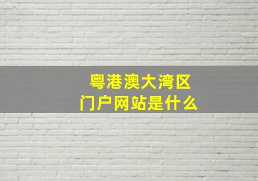 粤港澳大湾区门户网站是什么