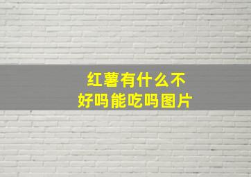 红薯有什么不好吗能吃吗图片