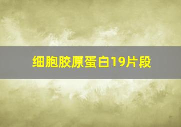 细胞胶原蛋白19片段