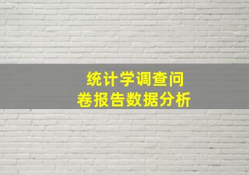 统计学调查问卷报告数据分析