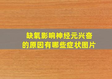 缺氧影响神经元兴奋的原因有哪些症状图片