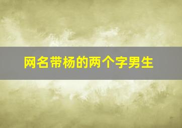 网名带杨的两个字男生