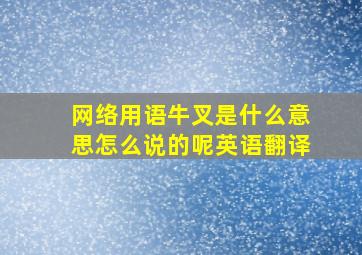 网络用语牛叉是什么意思怎么说的呢英语翻译