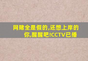 网赌全是假的,还想上岸的你,醒醒吧!CCTV已播