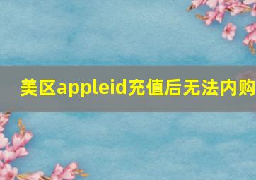 美区appleid充值后无法内购