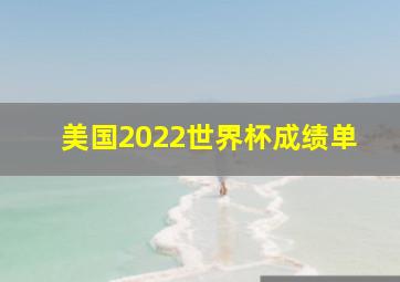 美国2022世界杯成绩单