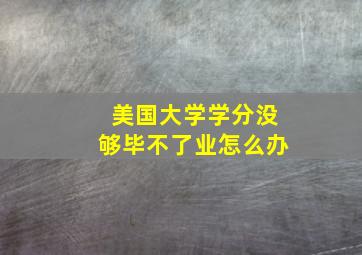 美国大学学分没够毕不了业怎么办