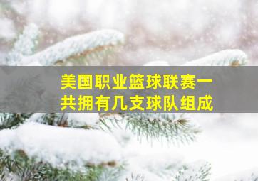 美国职业篮球联赛一共拥有几支球队组成