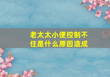 老太太小便控制不住是什么原因造成