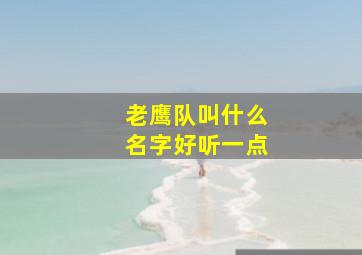 老鹰队叫什么名字好听一点