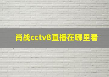 肖战cctv8直播在哪里看