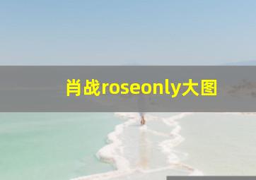 肖战roseonly大图