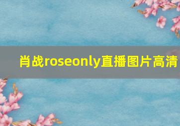 肖战roseonly直播图片高清