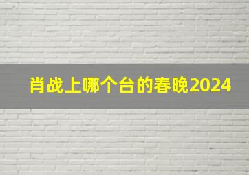 肖战上哪个台的春晚2024