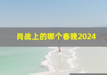 肖战上的哪个春晚2024