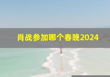 肖战参加哪个春晚2024