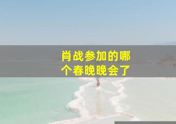 肖战参加的哪个春晚晚会了