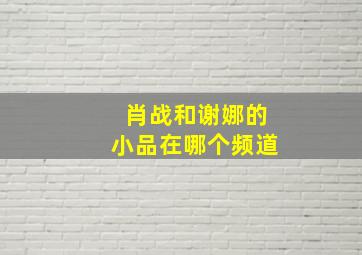 肖战和谢娜的小品在哪个频道