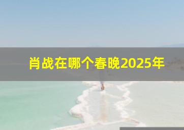 肖战在哪个春晚2025年