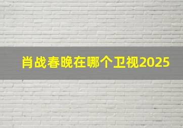 肖战春晚在哪个卫视2025