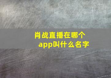 肖战直播在哪个app叫什么名字