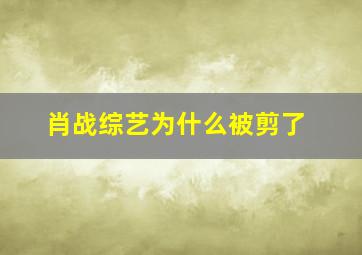 肖战综艺为什么被剪了