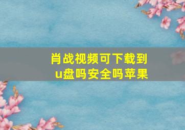 肖战视频可下载到u盘吗安全吗苹果