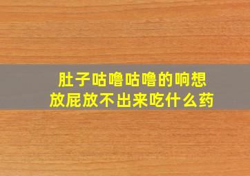 肚子咕噜咕噜的响想放屁放不出来吃什么药