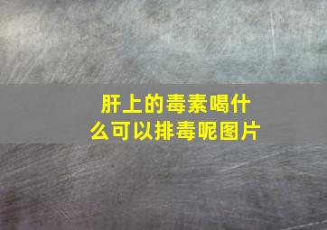 肝上的毒素喝什么可以排毒呢图片