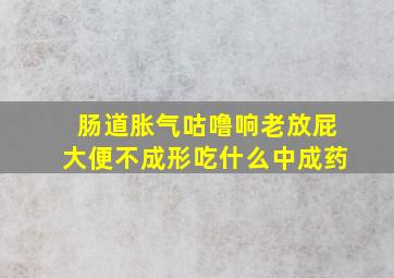 肠道胀气咕噜响老放屁大便不成形吃什么中成药