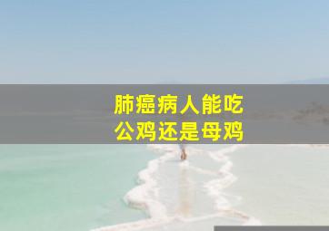 肺癌病人能吃公鸡还是母鸡