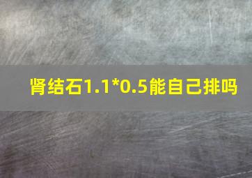 肾结石1.1*0.5能自己排吗