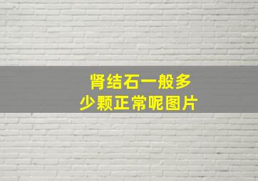 肾结石一般多少颗正常呢图片