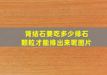 肾结石要吃多少排石颗粒才能排出来呢图片